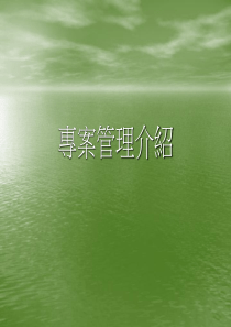 工程专案管理