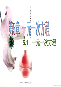 5.1一元一次方程公开课课件