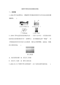 中考复习光现象习题及答案
