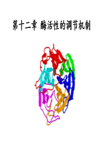第十二章-酶活性的调节