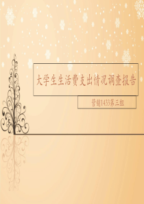 大学生生活费支出情况调查报告