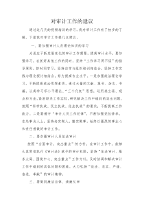 对审计工作的建议