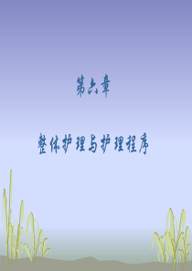 整体护理与护理程序