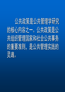 公共政策理论