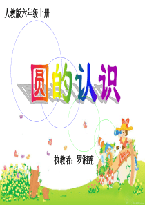 《圆的认识》
