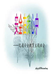 交通安全在我心中主题班会ppt