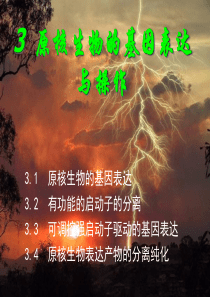 含trp启动子的表达载体