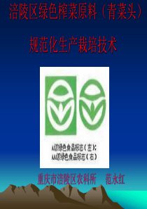 涪陵区绿色榨菜原料(青菜头)规范化生产栽培技术