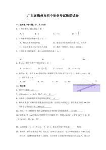 2014年广东省梅州市中考数学试题及答案
