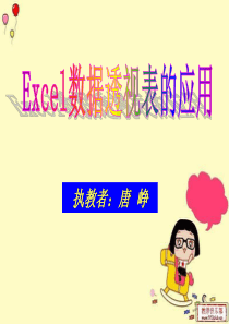 Excel数据透视表的应用(课件)