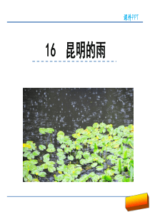 部编版八年级语文上册16昆明的雨课件完美版