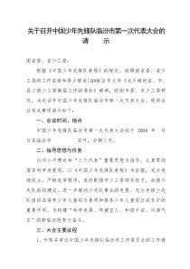 少代会请示