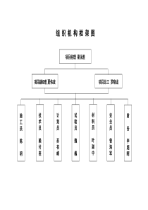 组织机构框架图