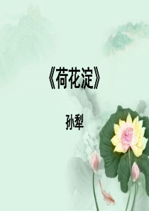 《荷花淀》优秀课件剖析