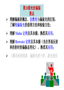 20光的偏振详解