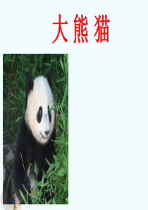 聋校第七册第八课大熊猫