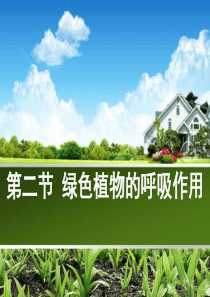《绿色植物的呼吸作用》课件
