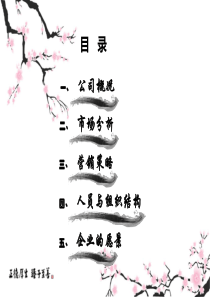 旅游公司模拟创业商业计划PPT版