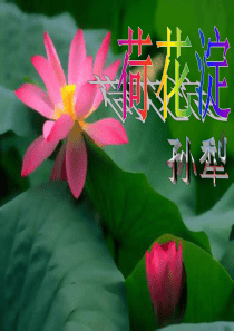 沪教版高三语文(上)《荷花淀》课件(56张PPT)