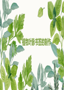 叶脉书签制作课件