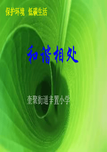 《和谐相处》课件