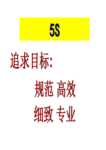 5S-现场力=执行力