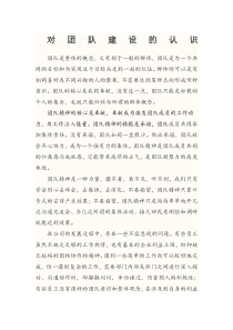 对团队建设的认识