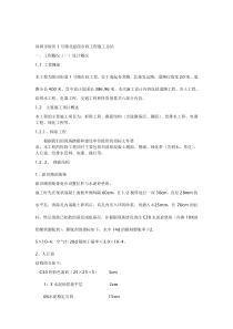 市政道路工程施工总结_SAL