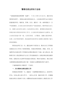 警察在派出所实习总结