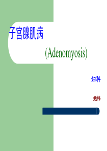 教学查房子宫腺肌病-(2)