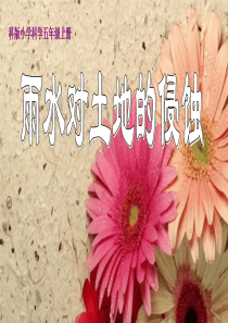 《雨水对土地的侵蚀》PPT课件