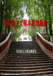 马克思主义基本原理概论第六章