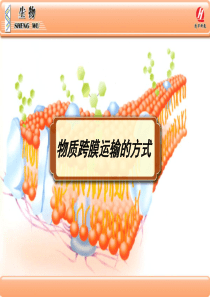 必修4.3《物质跨膜运输的方式》PPT课件