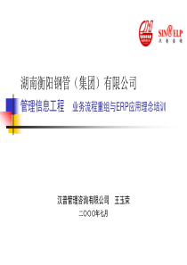 汉普－衡阳钢管BPR&ERP项目