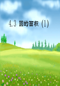 4.3圆的面积详解