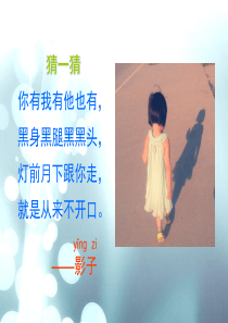 一年级上册部编版《影子》ppt课件