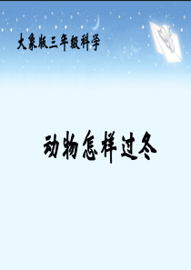 《动物怎样过冬》教学课件