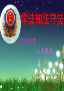 小学生法制教育主题班会(课件)