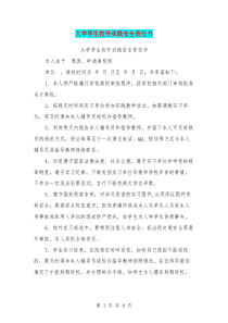 大学学生校外实践安全责任书【可编辑版】