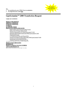 Lipofectamine2000转染说明书