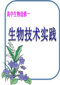 酵母菌能进行酒精发酵