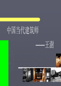 建筑分析11级王子