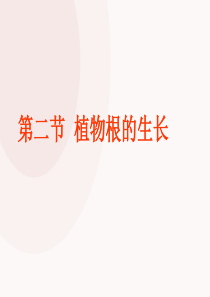 植物根的生长