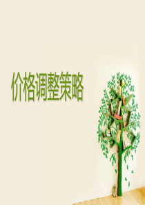 价格调整策略