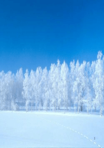 《雪地里的小画家》PPT课件
