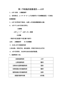 细胞的能量通货ATP知识点