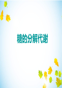 糖的分解代谢