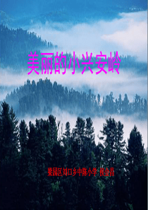 美丽的小兴安岭PPT