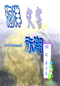 海洋灾害——赤潮ppt-powerpoint演示文稿