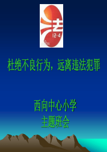 《杜绝不良行为-远离违法犯罪》法制教育主题班会ppt
